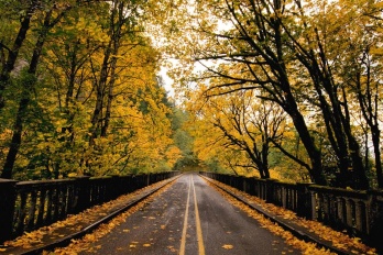 换新手机是否能恢复微信聊天记录