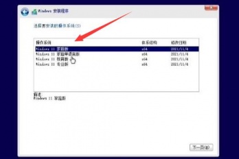 win11安装时无法选择专业版怎么解决