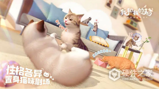 我和我的猫完整版