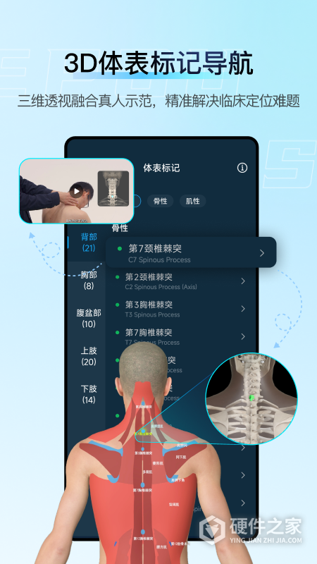 解剖大师