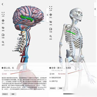 3Dbody解剖app