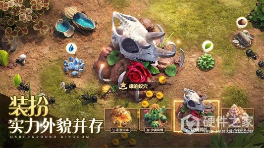 小小蚁国测试版