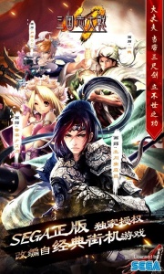 三国志大战网易版