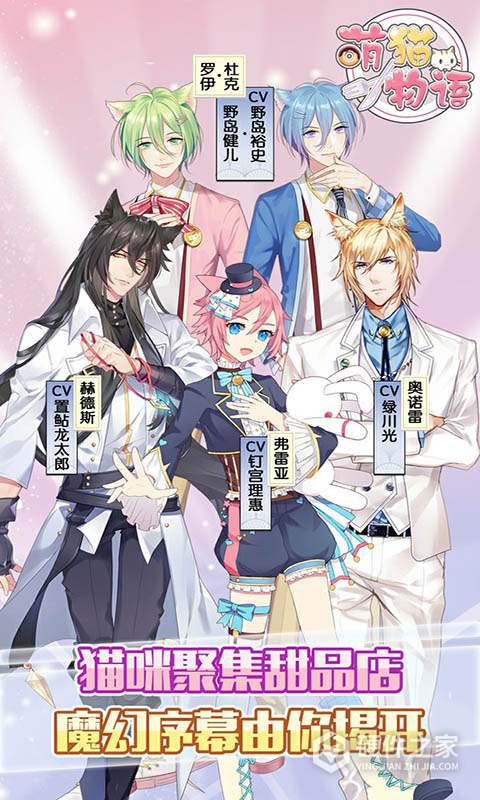 萌猫物语小米版