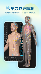 维萨里3D解剖