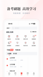 公选王