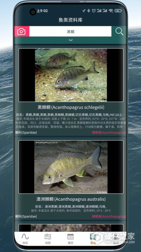 潮汐表精灵2024版