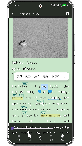 英语语法精讲