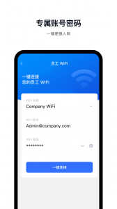 飞连