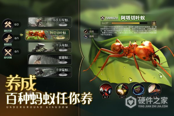 小小蚁国内测版