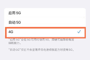 iphone13如何切换4g