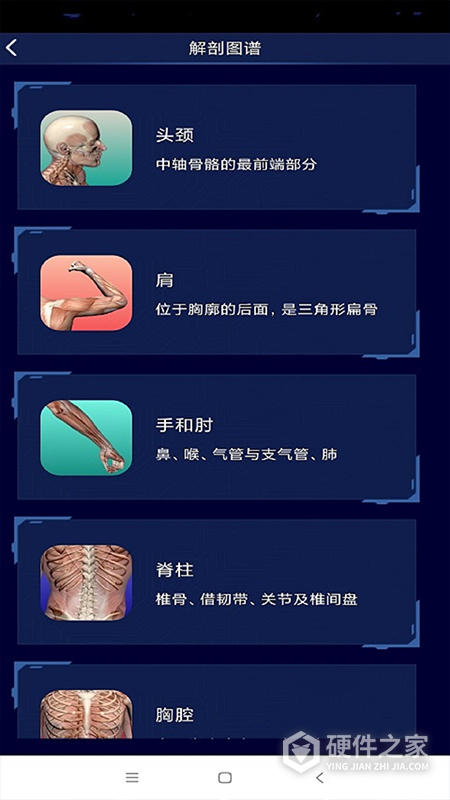 3D人体解剖图谱