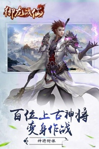 御龙战仙游戏fan版