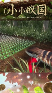 小小蚁国(3D蚂蚁题材)