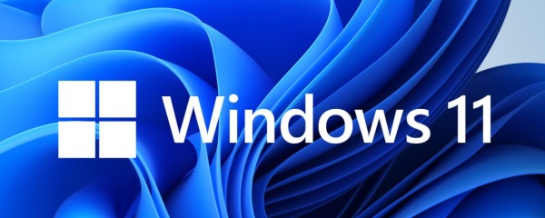 Win11电脑下载的文件被自动删除解决方式有哪些
