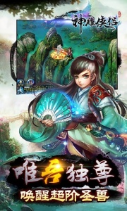 神雕侠侣互通服