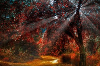 恢复删除的微信聊天记录的软件一览