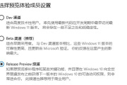 Win11系统Dev和Beta渠道的更新频率有何不同