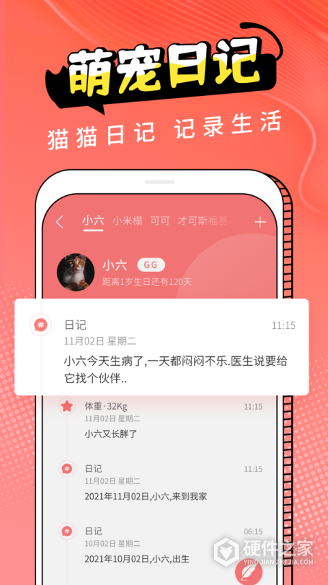 猫翻译