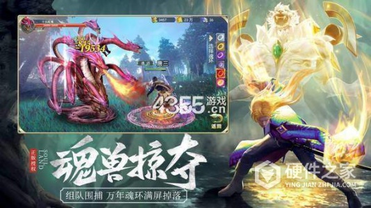 斗罗大陆（OL）