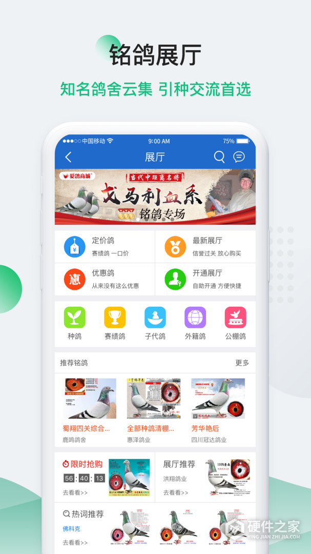 中国信鸽信息网