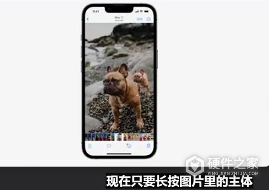苹果iOS 16一键抠图功能介绍