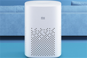 小爱音箱play有网关功能吗