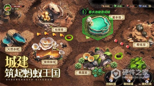 小小蚁国国际服