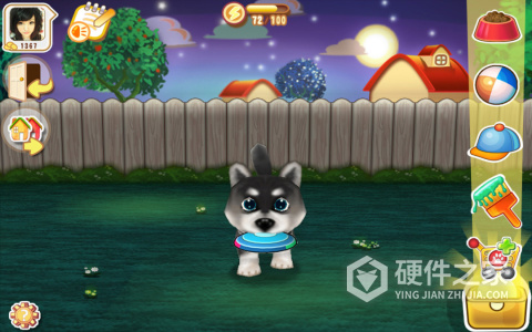 晴天小狗