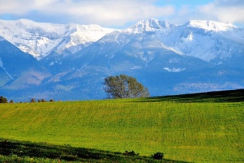 电脑文件数据恢复找回方法