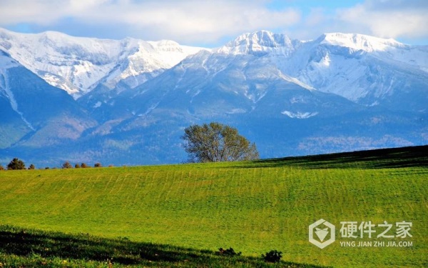 电脑文件数据恢复找回方法