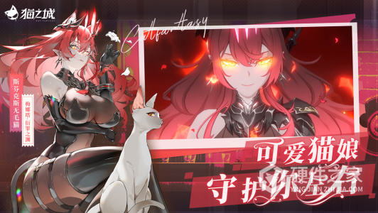 猫之城