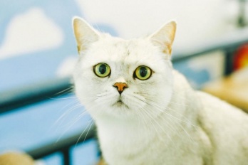 硬盘数据恢复软件选择介绍