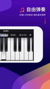 钢琴弹奏大师