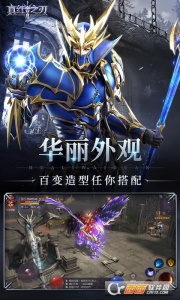 真红之刃测试服