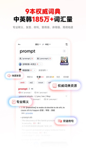 有道词典