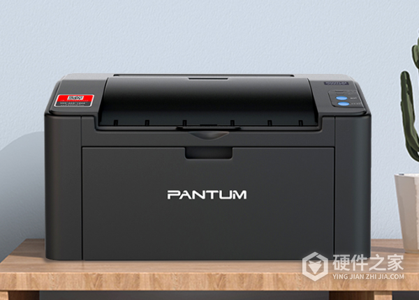 奔图p2206w和p2206nw有什么不一样