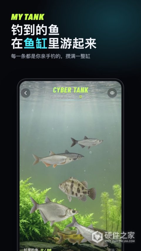 钓鱼佬最新版