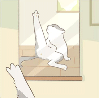 遇见你的猫官方正版