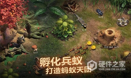 小小蚁国手机版