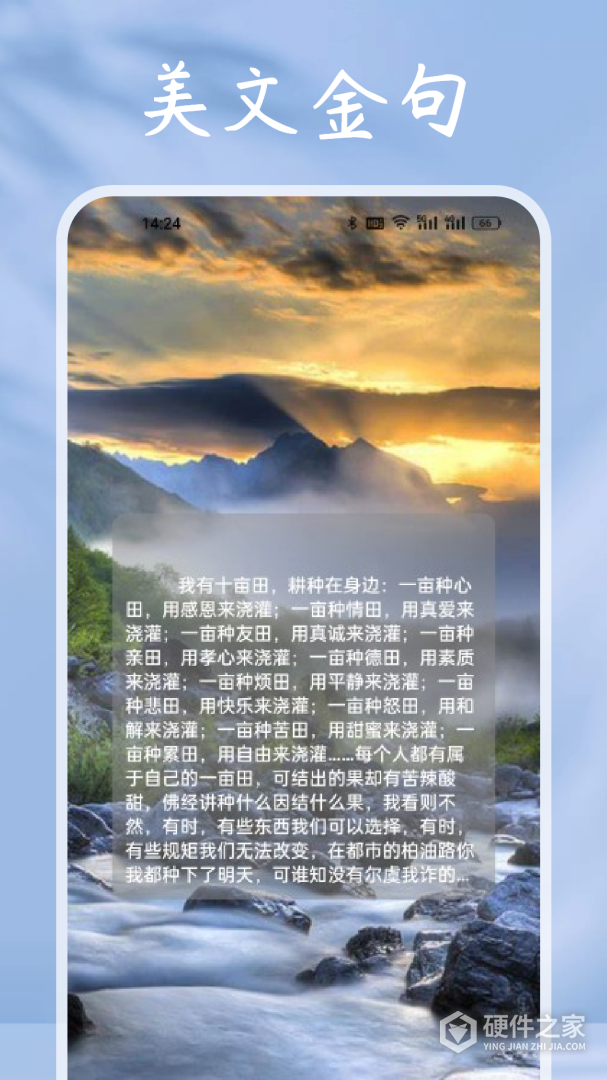 猫番阅读