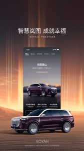 岚图汽车
