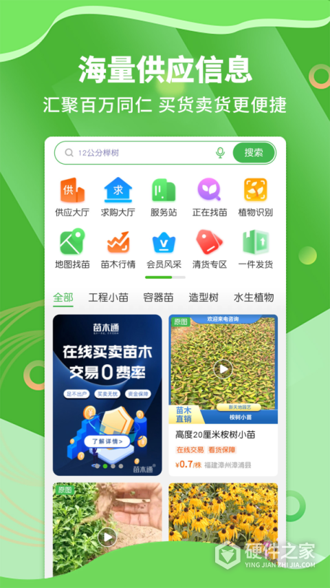 苗木通APP最新版