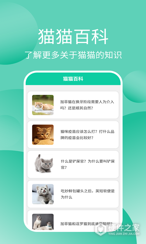 猫猫交流器