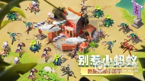 蚁族崛起oppo客户端