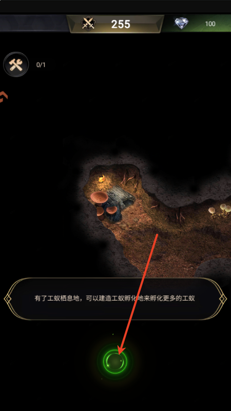 小小蚁国官方版