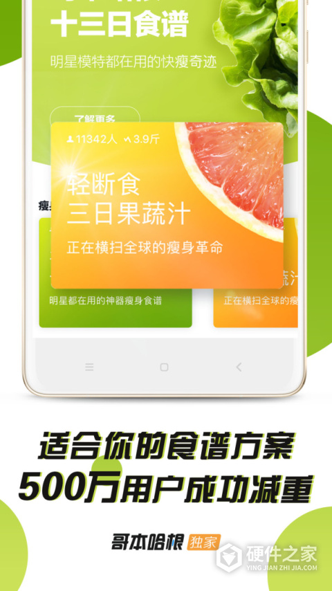 哥本哈根减肥法食谱13天app
