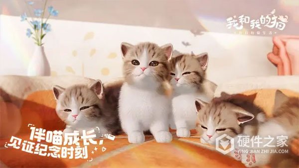 我和我的猫