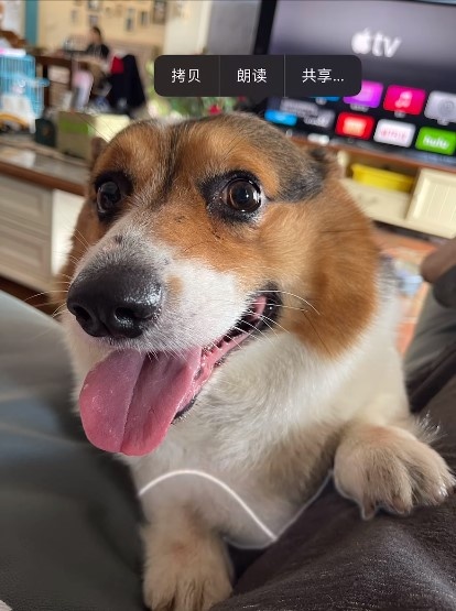 ios16抠图怎么发微信