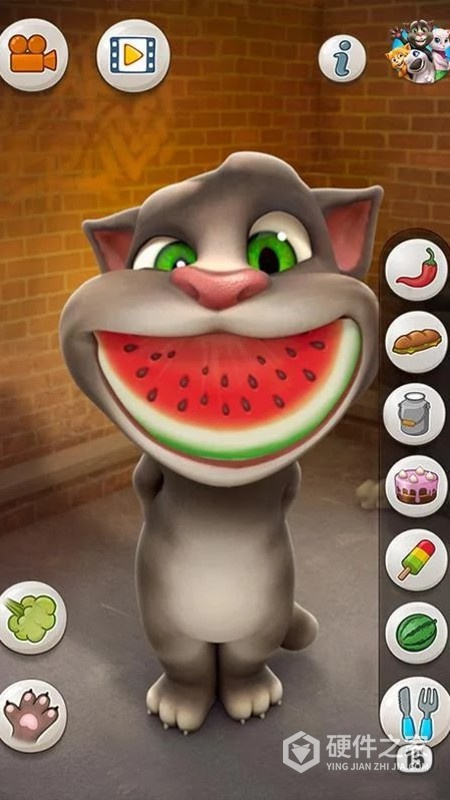 会说话的汤姆猫安卓版